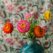 Paper daisies by jeneurell