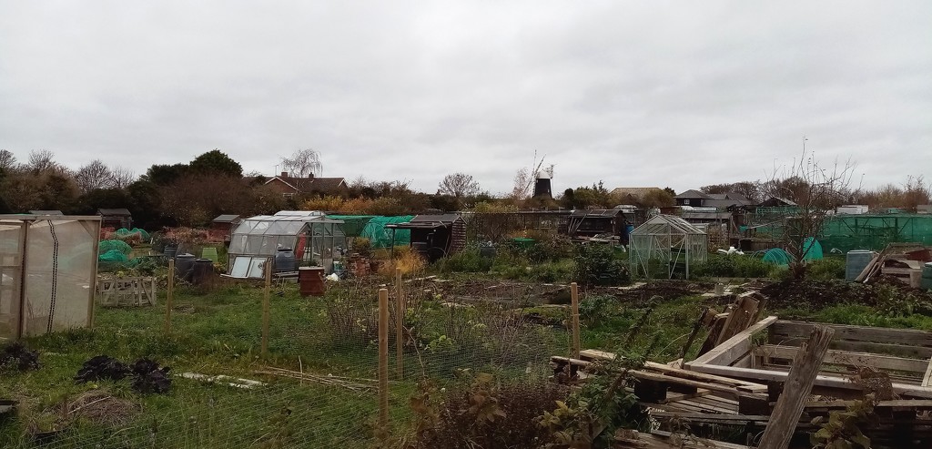 Allotment by g3xbm