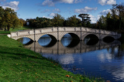 17th Nov 2020 - 1117 - Five Arch Bridge, Pains Hill Garden