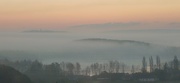 14th Nov 2020 - Window Views: Morning Sea of Fog.