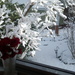 From my kitchen window - first snow by bruni