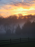 18th Nov 2020 - Pennsylvania Backyard at Sunrise December 2012
