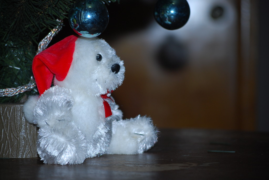 holiday bear by stillmoments33