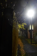 8th Nov 2020 - autumnly alley by night