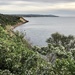 Mornington Peninsula  by pictureme