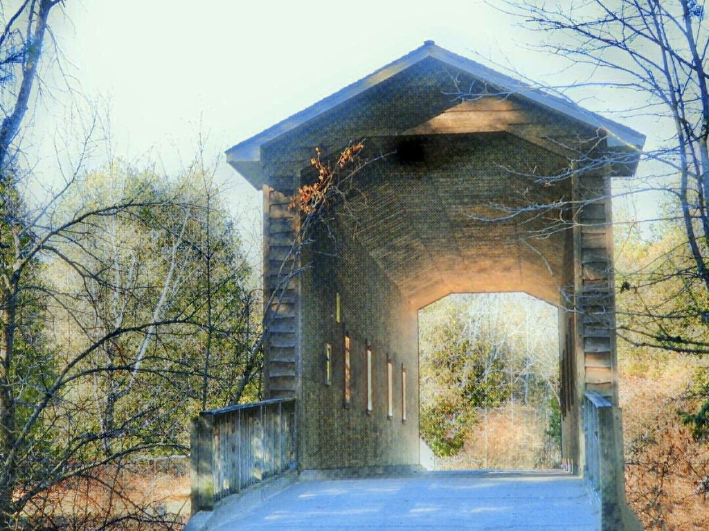 covered bridge, Deerfield Park by amyk
