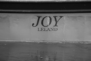 19th Nov 2020 - Joy