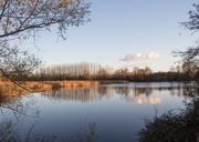 19th Nov 2020 - Hayling Lake