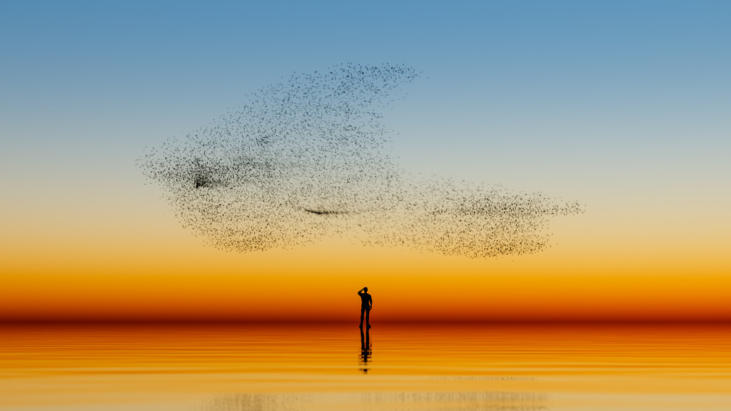 A Murmuration of Boids by humphreyhippo