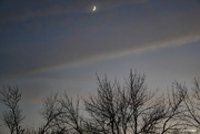 20th Nov 2020 - Waxing Crescent moon