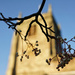 Rowan Berries at St. Mary's Church by phil_howcroft