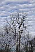 18th Nov 2020 - Rippled Clouds