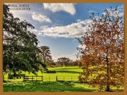 21st Nov 2020 - Delapre Abbey Park,another view.