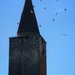 Flights above the bell tower by caterina