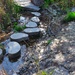 Stepping Stones by judyc57