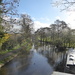 View from a canal bridge by speedwell