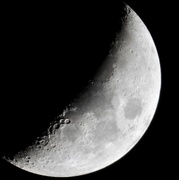 21st Nov 2020 - Ms. Moon