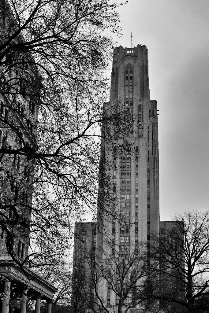 Cathedral of Learning 20201121 by lsquared