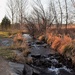 Spring Creek by sandlily