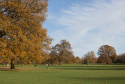 22nd Nov 2020 - A beautiful day in Priory Park