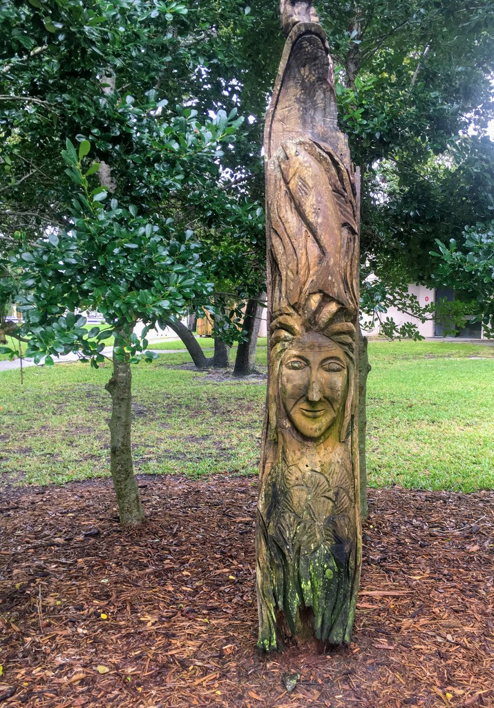 Park Carving  by wilkinscd