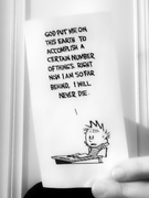 21st Nov 2020 - with thanks to Bill Watterson...