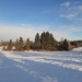 Winter Landscape  by bkbinthecity