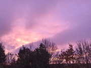 20th Nov 2020 - Early morning sky......