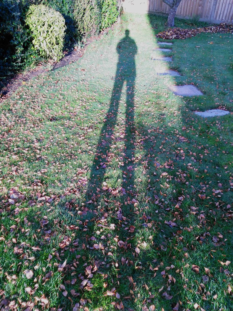 Long shadow by jon_lip