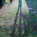 Long shadow by jon_lip