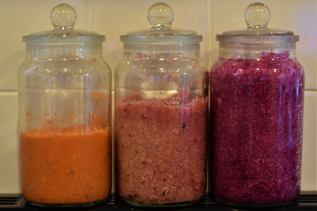 fermented vegetable colours by christophercox