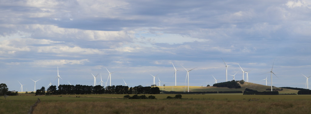Wind turbine farm by gilbertwood