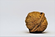24th Nov 2020 - walnut