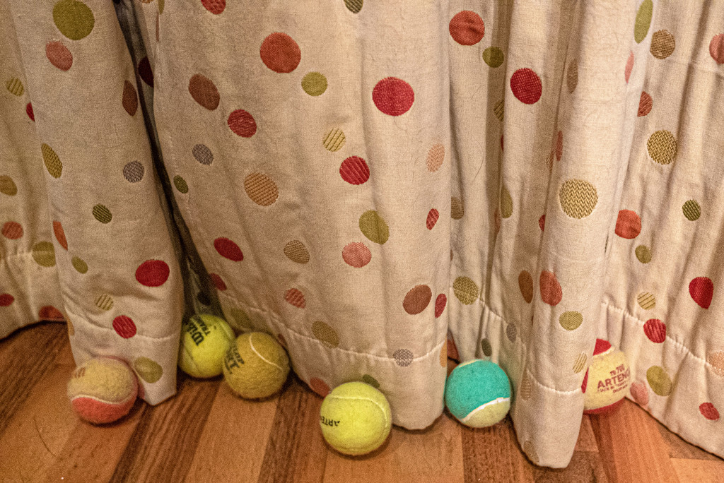 Ness' tennis ball collection by frequentframes