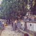 Cemetery of Saint André.  by cocobella