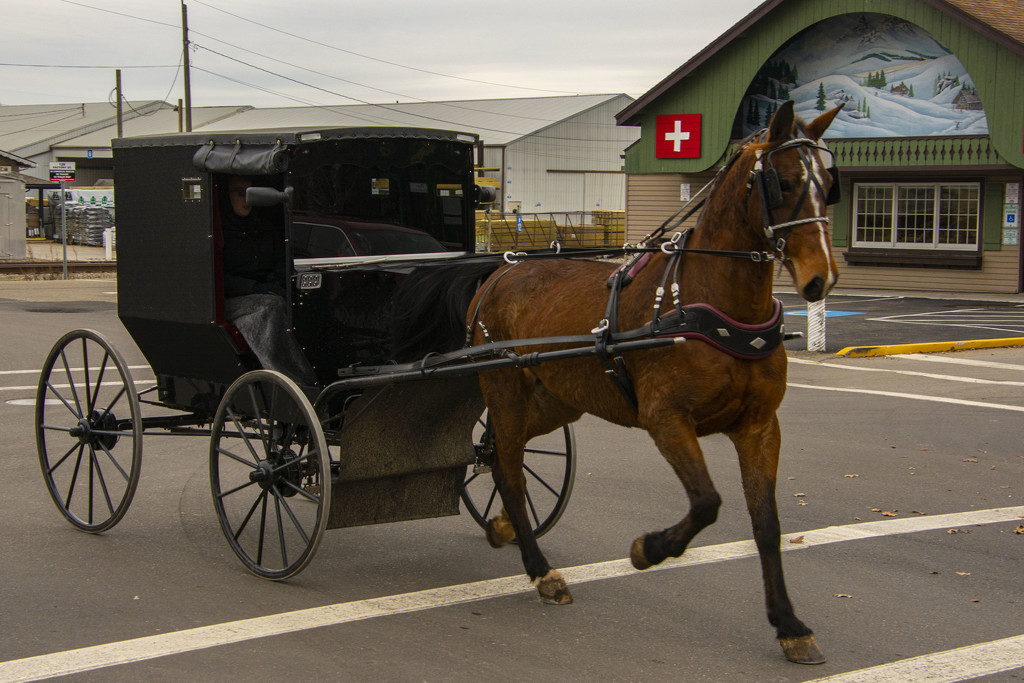 The Latest in Amish Tranportation by cwbill