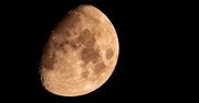 24th Nov 2020 - Moon Shot!
