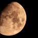 Moon Shot! by rickster549