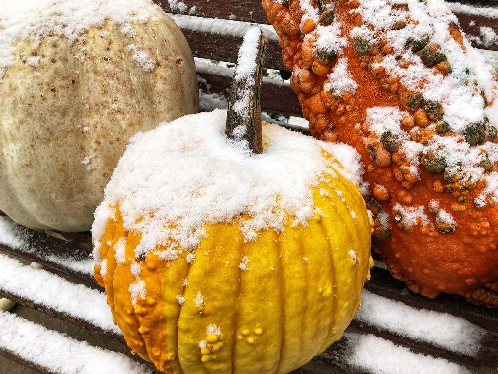 when the frost is on the punkin by amyk