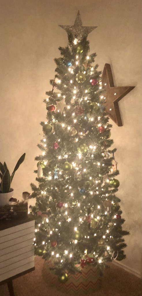 Oh Christmas Tree 🎄  by lisaconrad