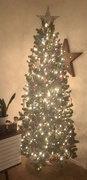 23rd Nov 2020 - Oh Christmas Tree 🎄 