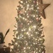 Oh Christmas Tree 🎄  by lisaconrad