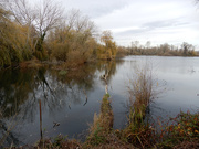 25th Nov 2020 - Paxton Lakes