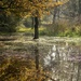 Autumn Floods by shepherdmanswife