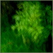 Abstract greens by dide