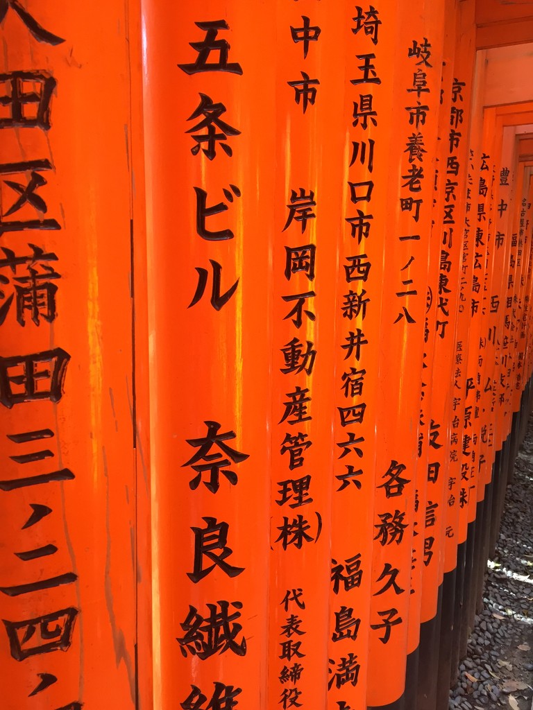 Tokyo. Fushimi Inari shrine.  by johnfalconer