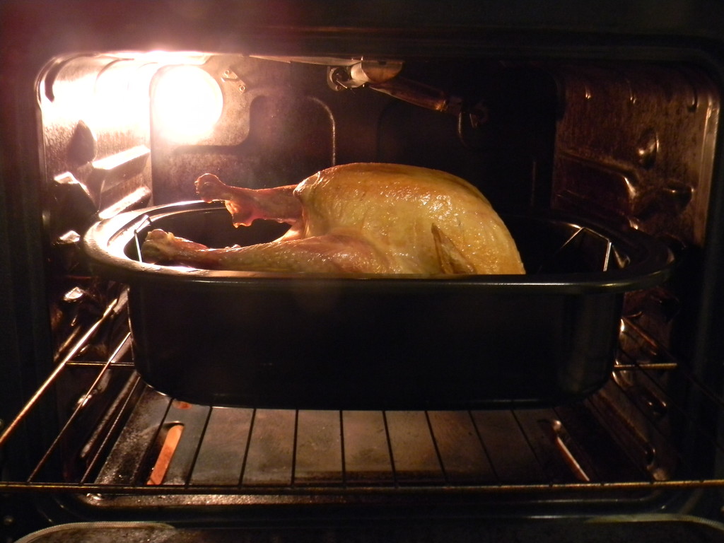Turkey in Oven by sfeldphotos
