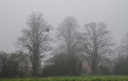 27th Nov 2020 - A misty morning
