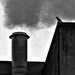 Bird and Steam by granagringa