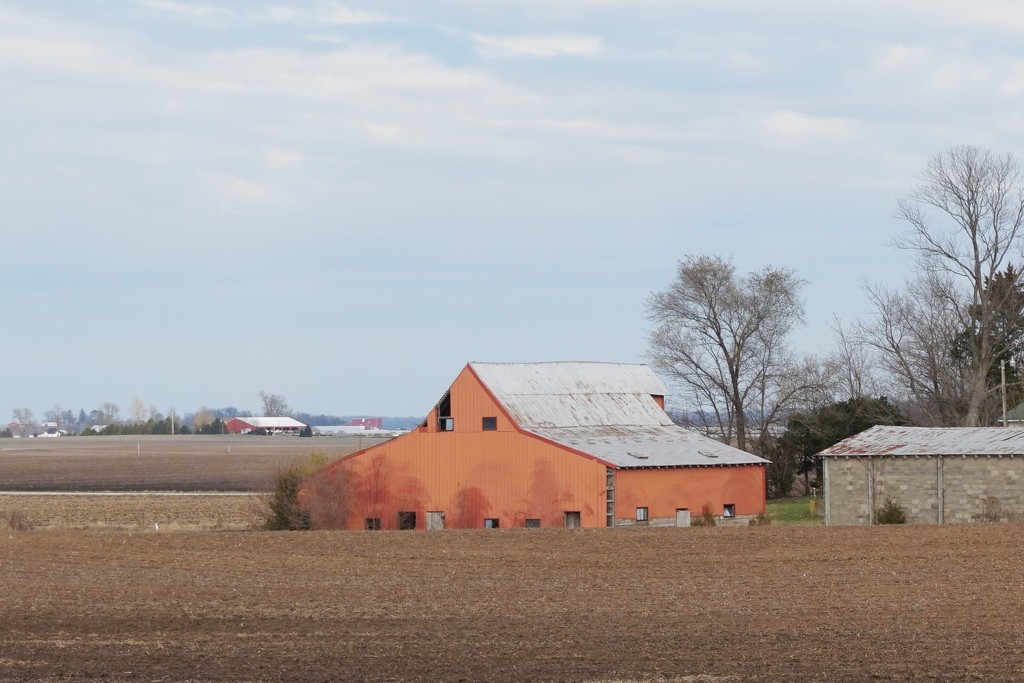 An orange barn? by tunia